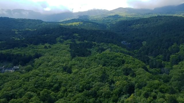 DJI MAVIC PRO. Лучше, чем Mavic Air, Spark и Phantom смотреть онлайн