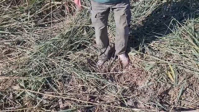 Какой мы веры ? смотреть онлайн