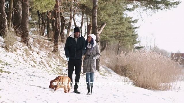 ? Swipe Right: How To Stand Out In The World Of Online Dating смотреть онлайн