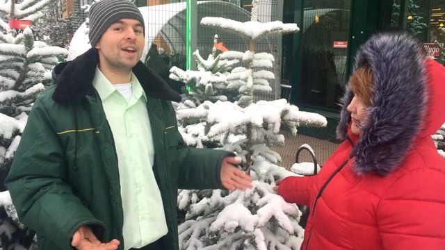 как ухаживать за елкой в горшке смотреть онлайн