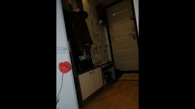Продается 1-комнатная квартира г.Жуковский, ул.Гагарина, д.52 смотреть онлайн