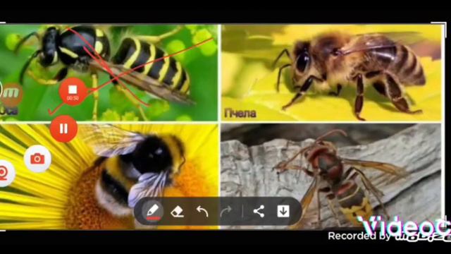   миссии земли