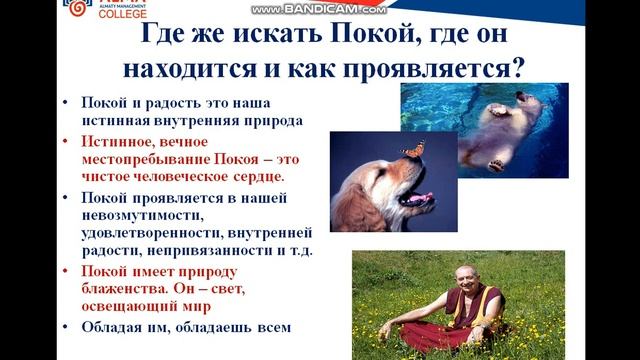 Внутренний покой и гармония как природа человека смотреть онлайн