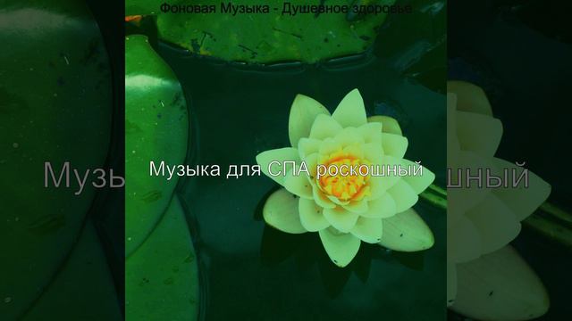 Музыка (спа) смотреть онлайн