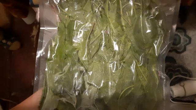 Вакуумация с помощью Вакуумного упаковщика GORENJE VS120W смотреть онлайн