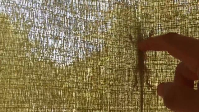 ОТЕЛИ БЕЗ СТЕН. Эко отель Доминикана: самый лучший отель в Доминикане. смотреть онлайн