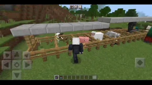 Morph Mod For McPe 1.20 || Morph Mod Minecraft PE 1.20 || Morph Mod