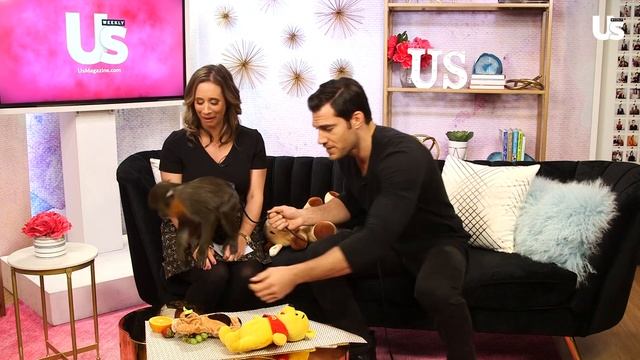 Animals Go Wild In Studio With Dr. Evan Antin