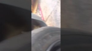 Review on the ￼dewalt dcf891