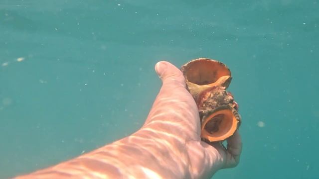 Где бесплатно встать с палаткой в Крыму? Дикий пляж между Фрунзе и Новофедоровка смотреть онлайн