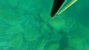 МНОГО РЫБЫ!! Подводная охота, Владивосток.