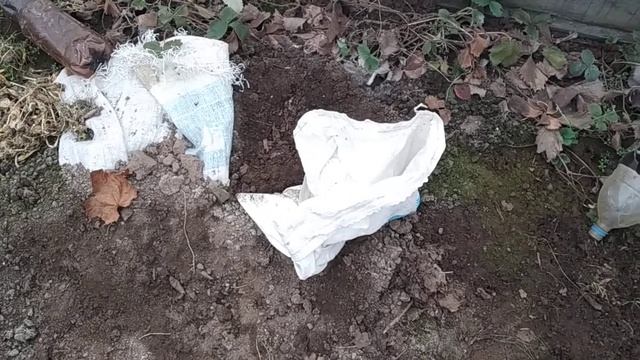 морковь в середине марта как будто только с грядки смотреть онлайн