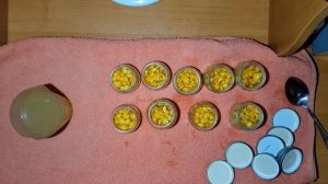 Как приготовить самому консервированную кукурузу для рыбалки