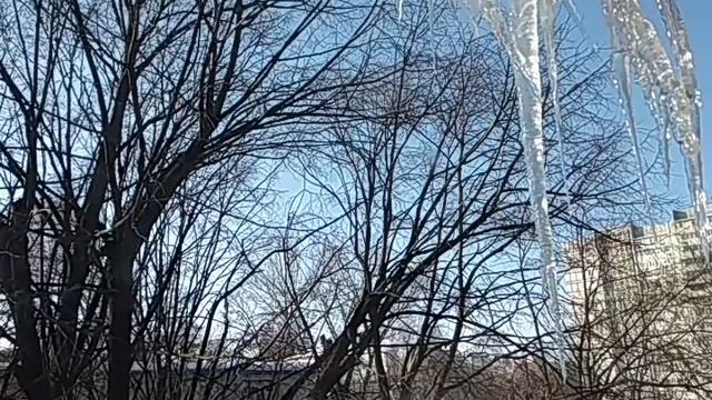 Как отличить шарлатанов от честных людей? Признаки. смотреть онлайн