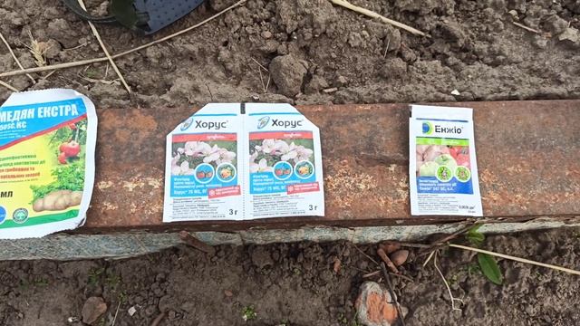 ❗❗❗ФУНДУК,важная весенняя ОБРАБОТКА,ХОРУС,СКОР+АКТАРА!!! смотреть онлайн