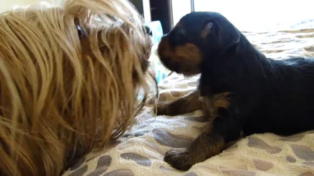 на кровати.MP4 смотреть онлайн