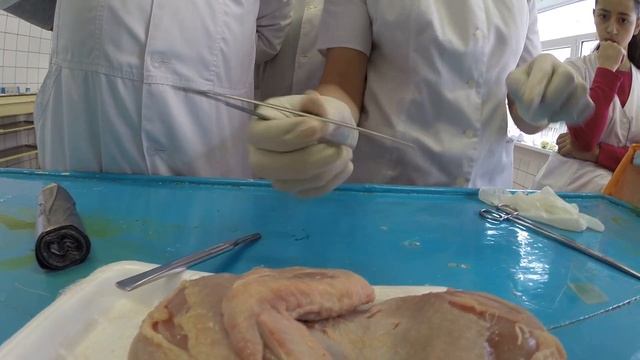 Пластика встречными треугольниками по Лимбергу смотреть онлайн