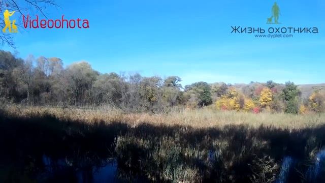 Где искать утку на охоте? Videoohota смотреть онлайн