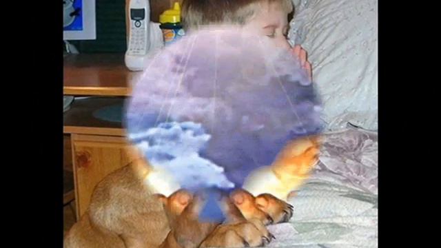 Божья любовь смотреть онлайн