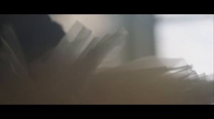 Dapa Deep - Walking Alone