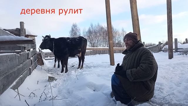 Семья в деревне//Как они это пережили?????????????? смотреть онлайн