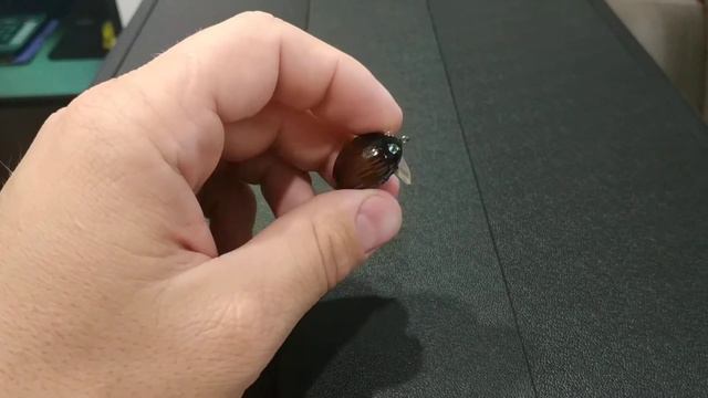 Видеообзор поверхностного кренка Salmo Lil Bug F 02 по заказу Fmagazin смотреть онлайн
