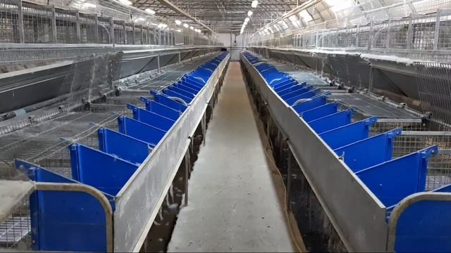 БИЗНЕС ЗАРГУШ смотреть онлайн