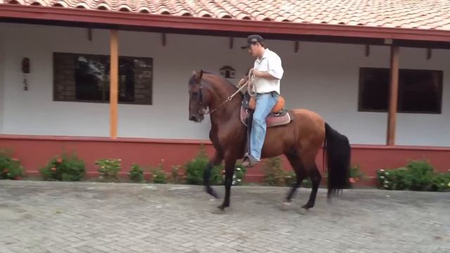 Harry potter de Villa Monica 3 смотреть онлайн