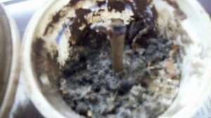 ХУРМА из черенка, окончание эксперимента