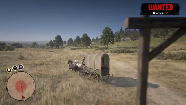 RDR 2: How To Complete Herbalist Challenge 9 As Arthur Morgan