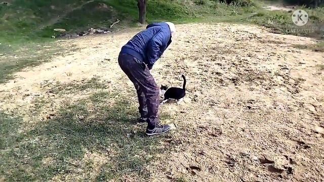 переезд из Сибири на Юг/ЧАСТЬ 1/готовимся к рыбалке/как мы искали грибы смотреть онлайн