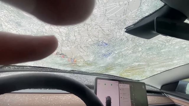 СЛУЧАИ В ПРИРОДЕ ОДИН НА МИЛЛИОН смотреть онлайн