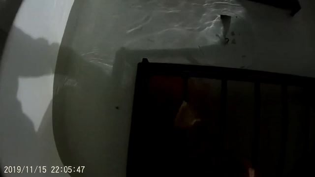 загрузка икры радужной форели в аппараты смотреть онлайн