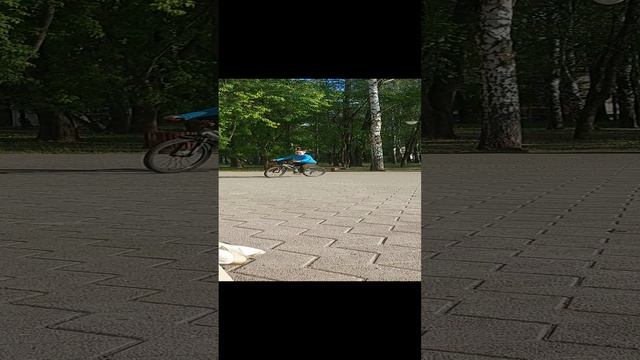 В парке летом.