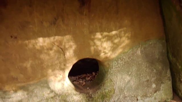 Исследования дольменов у реки Пшада. Стоянка в Грековой щели смотреть онлайн