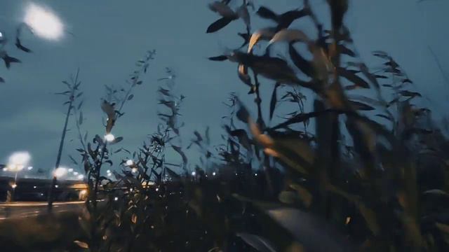 VID 20231103 173111 Не ведаю, найдётся ли хрусталь...(Лудовико Ариосто)...Павел Васильев Лахтинский смотреть онлайн