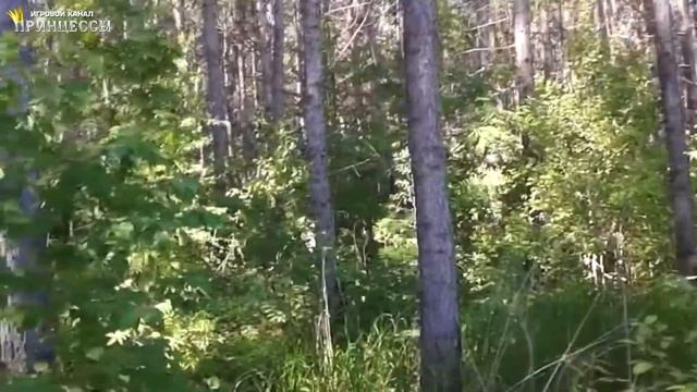 Принцесса на природе смотреть онлайн