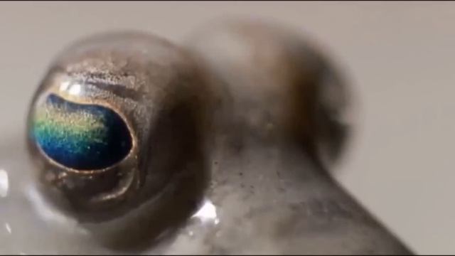 История Вселенной за 90 секунд. смотреть онлайн