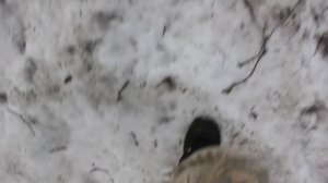 1/2. ШОК! УЖАСЫ ТАЙГИ! ОДИН В ЛЕСУ! сквозь заповедник Кузнецкий Алатау, от АБВГАТ