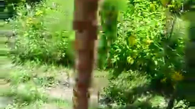 Кол-манекен-неваляшка для отработки ударов смотреть онлайн