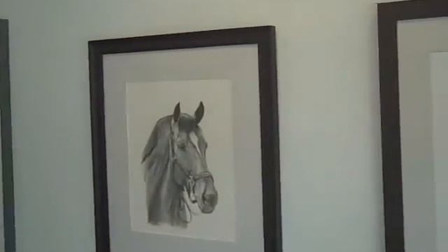 Strength and Grace, a 2012 Olympic Tribute at Elisa Contemporary Art смотреть онлайн