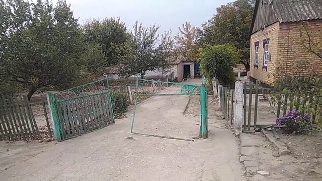 Живут одним днём. смотреть онлайн
