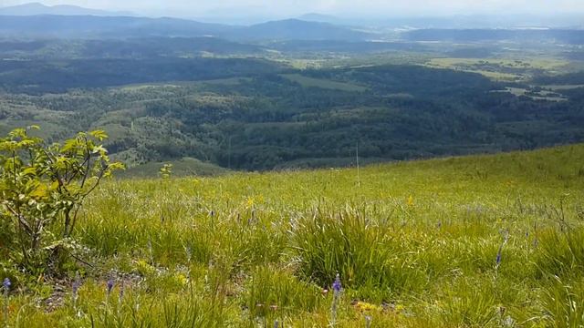 Из города в село. Поход в горы. смотреть онлайн