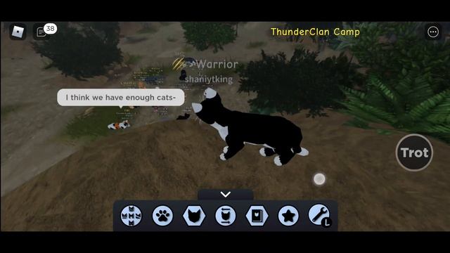 June All New* Roblox Warrior Cats Codes - Warrior Cats Codes Roblox 2022 - Warrior Cats Codes June смотреть онлайн