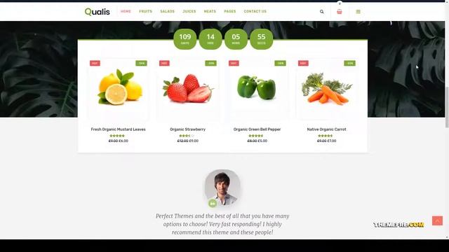 Qualis - Organic Food Responsive eCommerce WordPress Theme food products vegetable Reon смотреть онлайн