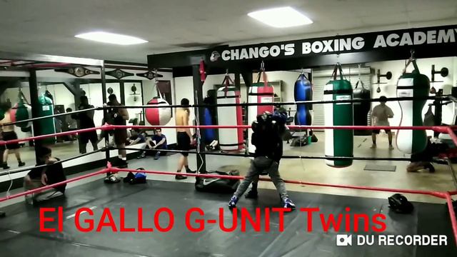 El GALLO vs Artie смотреть онлайн