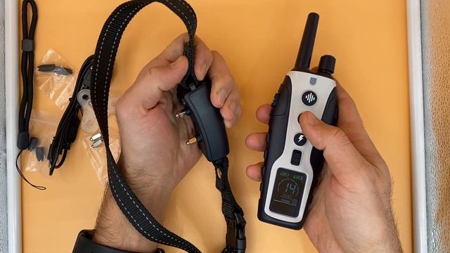 Электронный ошейник для дрессировки собак GS-670 смотреть онлайн