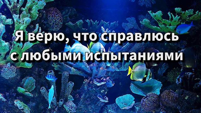 Аффирмации для хороших оценок в школе/Для успешной сдачи экзамена ЕГЭ ОГЭ смотреть онлайн