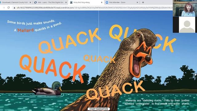 Cancer Support Community Story TIme.Volunteer Laura reads Noisy Birds Sing Along смотреть онлайн