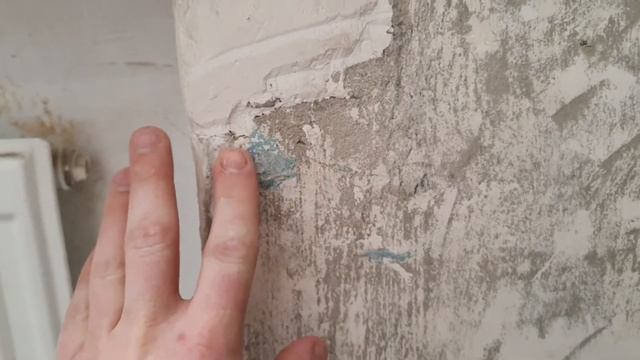 Строительные Мнения